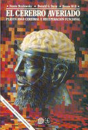 EL CEREBRO AVERIADO