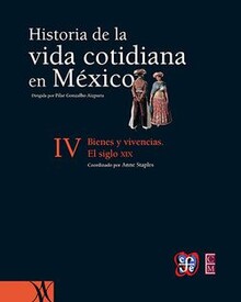 HISTORIA DE LA VIDA COTIDIANA EN MEXICO T. IV : BIENES Y VIVENCIAS
