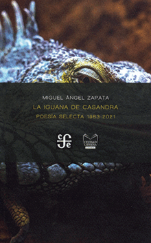 LA IGUANA DE CASANDRA LA IGUANA DE CASANDRA