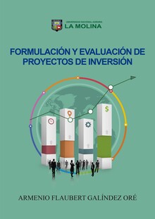 FORMULACIÓN Y EVALUACIÓN DE PROYECTOS DE INVERSIÓN